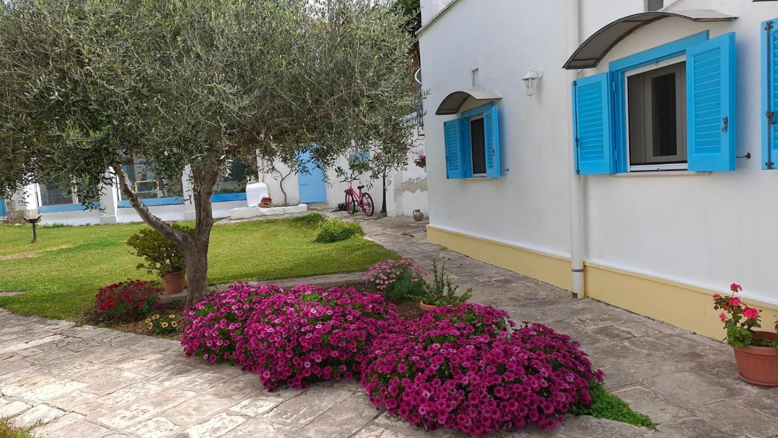 Bed and Breakfast Villino Tronchetto Bianco Mola di Bari Exterior foto